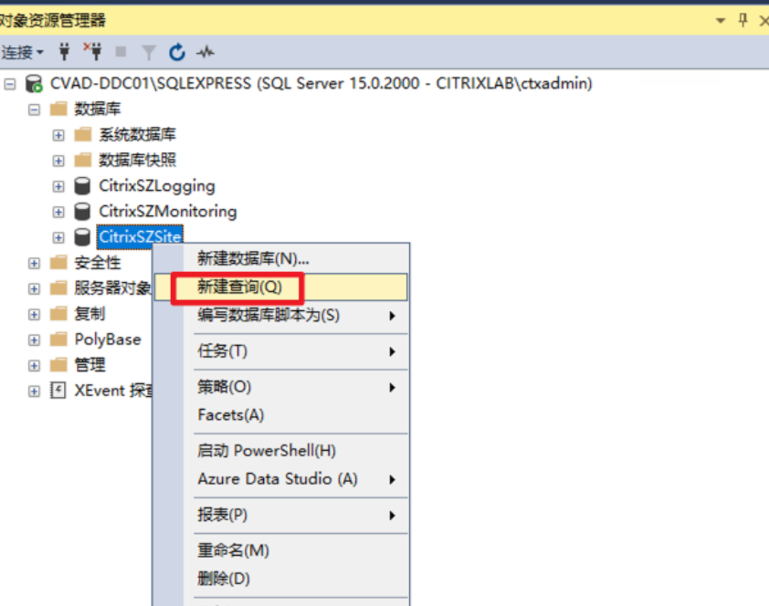 Citrix SQL数据库查询和替换修改字段